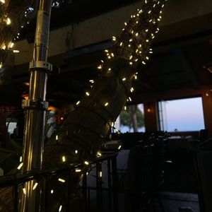 Meet your Posher, Jade